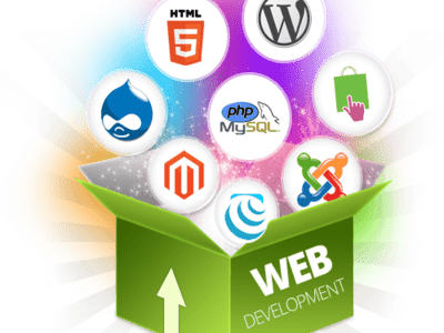 Web development